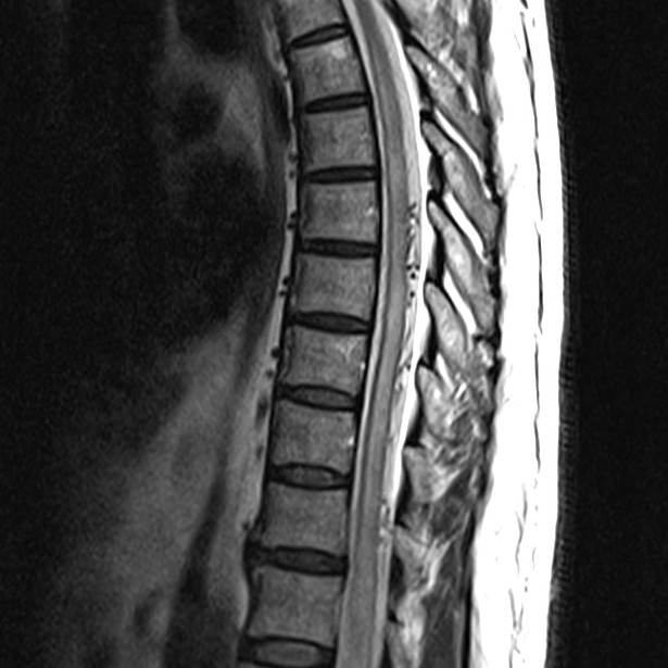 russianradiology в LOOKY — фото 4