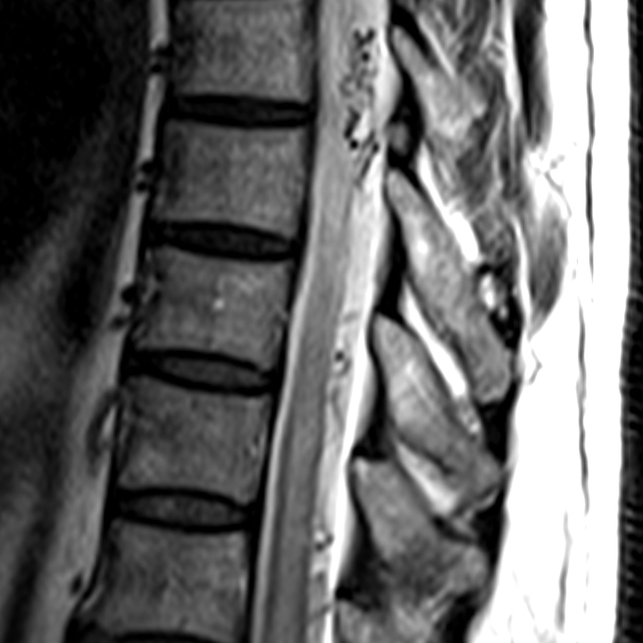 russianradiology в LOOKY — фото 3