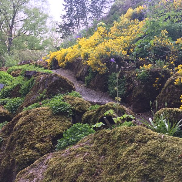 nataliapetrova972 в LOOKY — фото 10