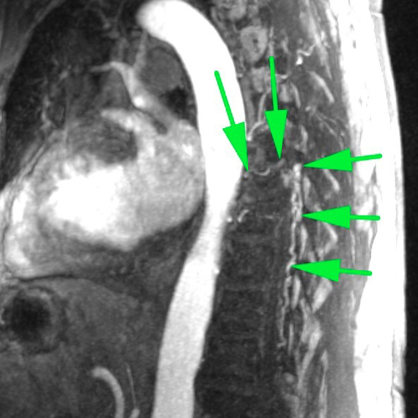 russianradiology в LOOKY — фото 3