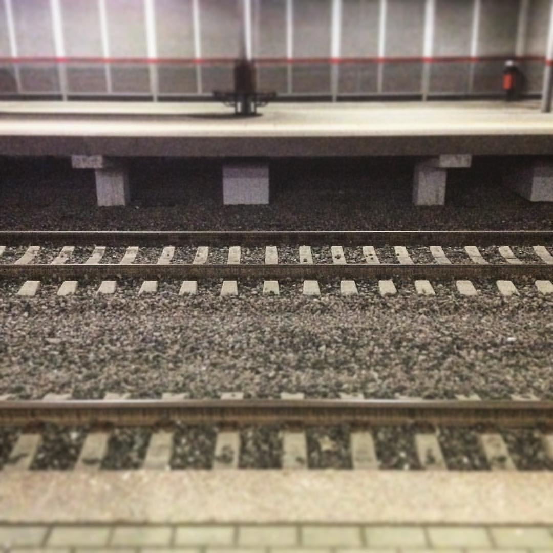 dana_kerroll в LOOKY — Главное - чётко видеть свой #путь ❗️#рельсы #дорога #вперёд 