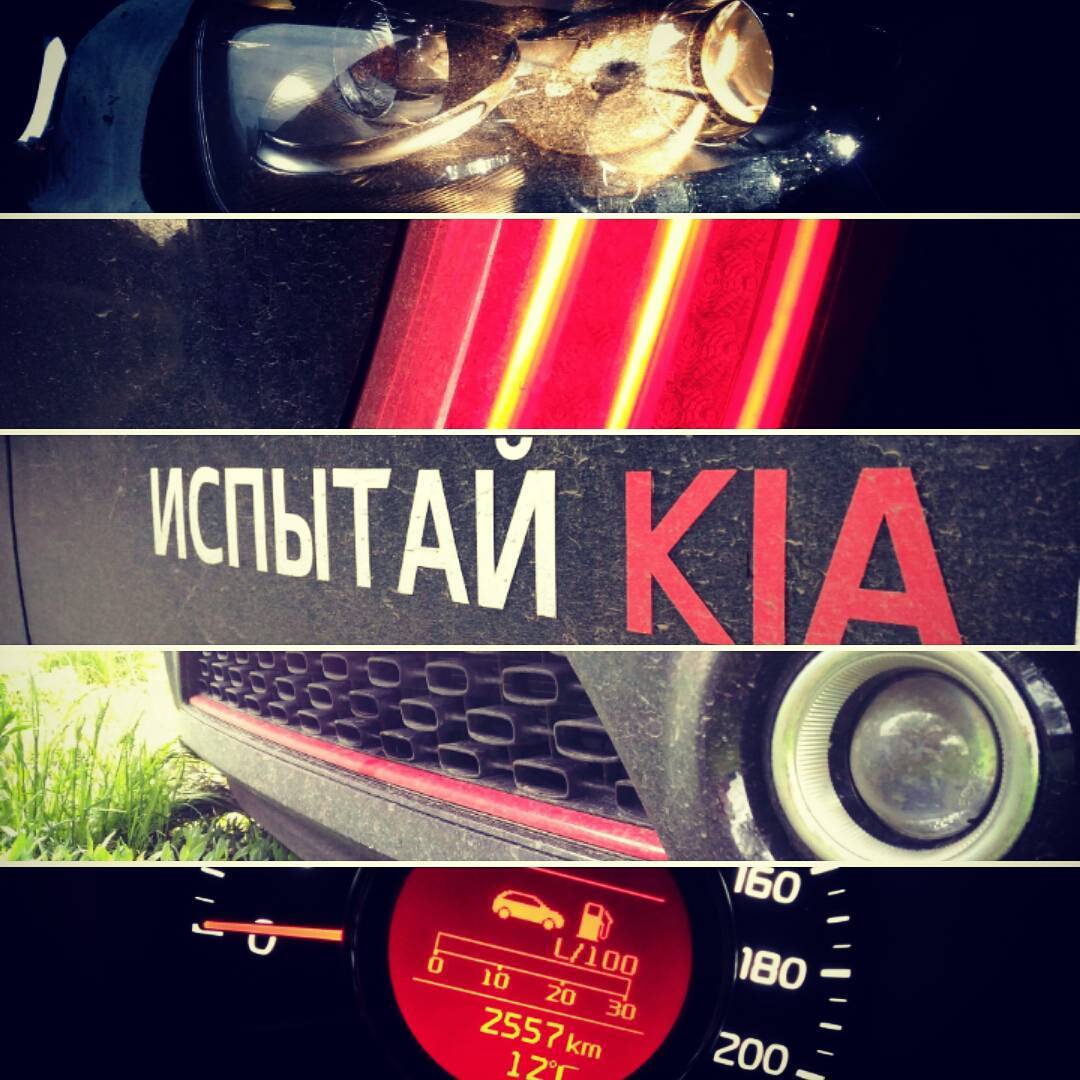 mskevg