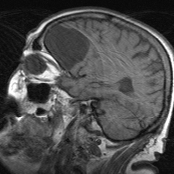 russianradiology в LOOKY — фото 3