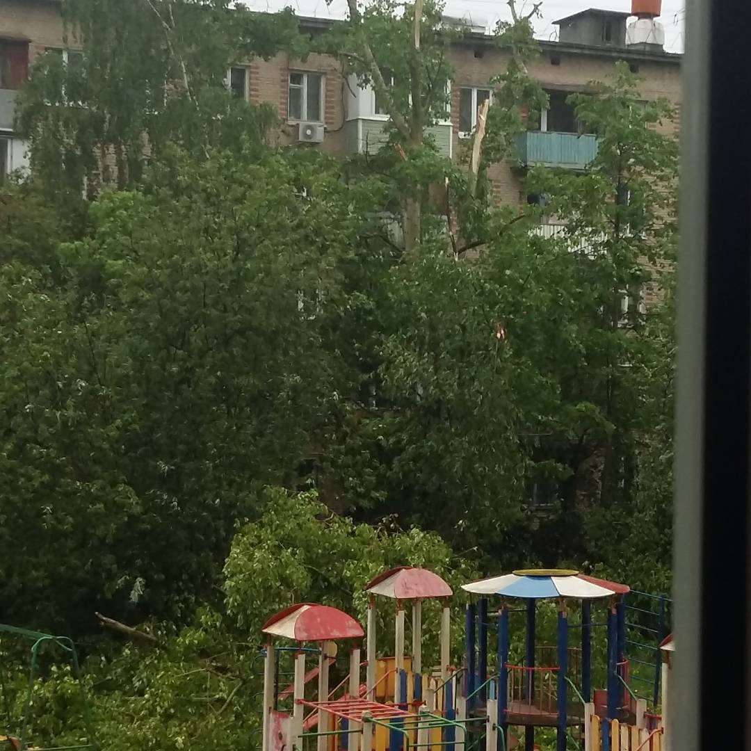 rezek_n в LOOKY — Ураган в Одинцово