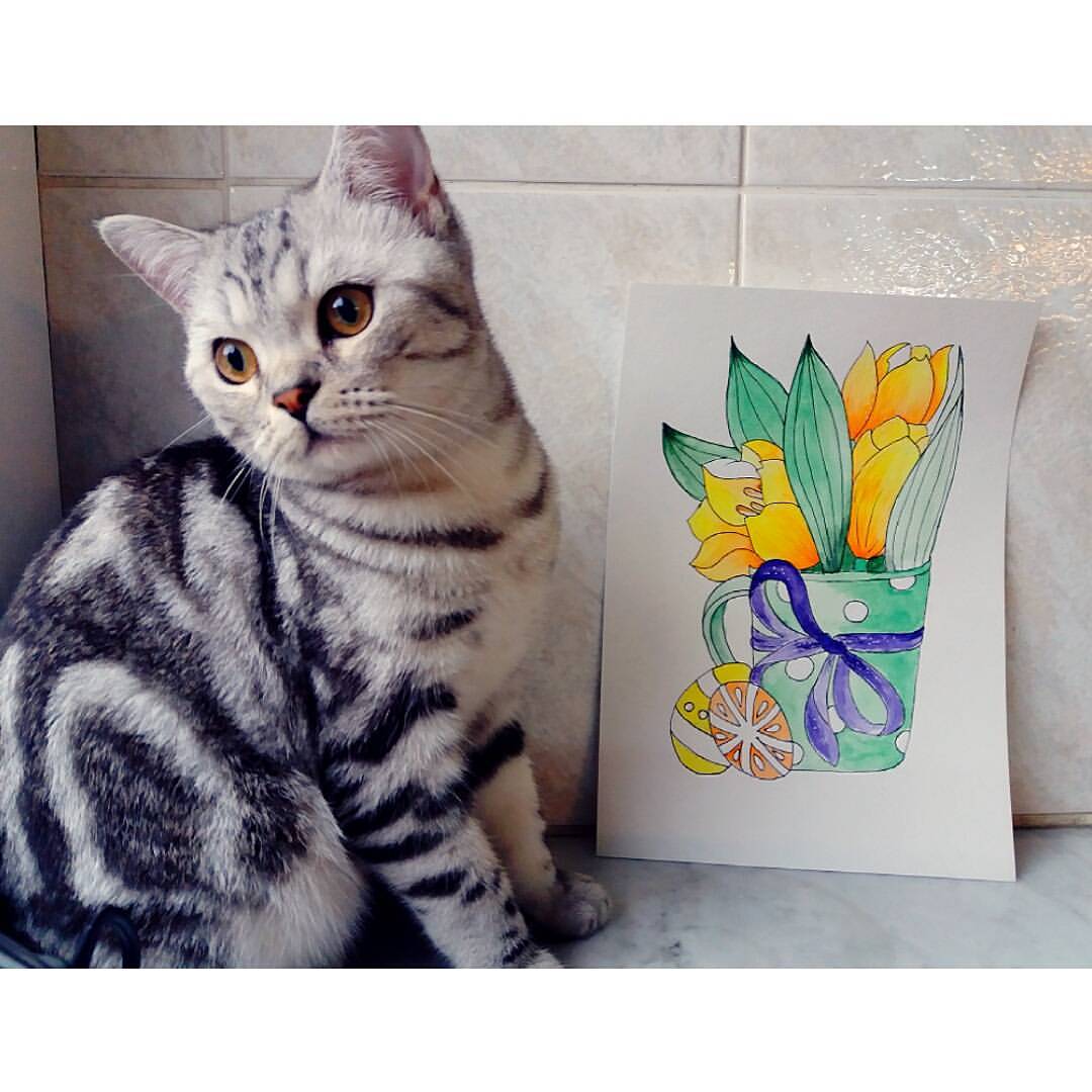 olgabarsukova_ в LOOKY — Обалденный котенок😍 мраморный окрас просто нереальный! Ричи