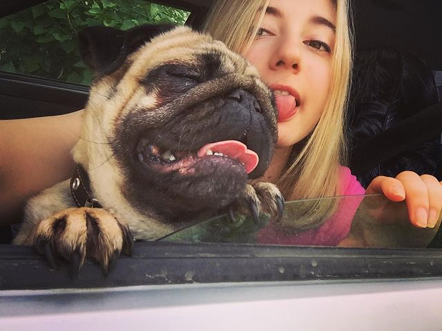 borisova__alina в LOOKY. . Если вы не любите эт...