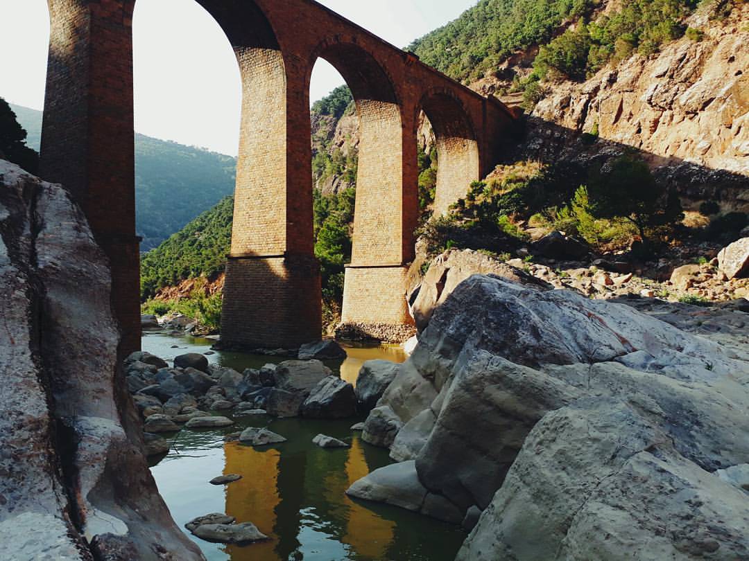dh.aboubakr в LOOKY — #like #like4like #liker #likes #l4l #likes4likes #photoofthe