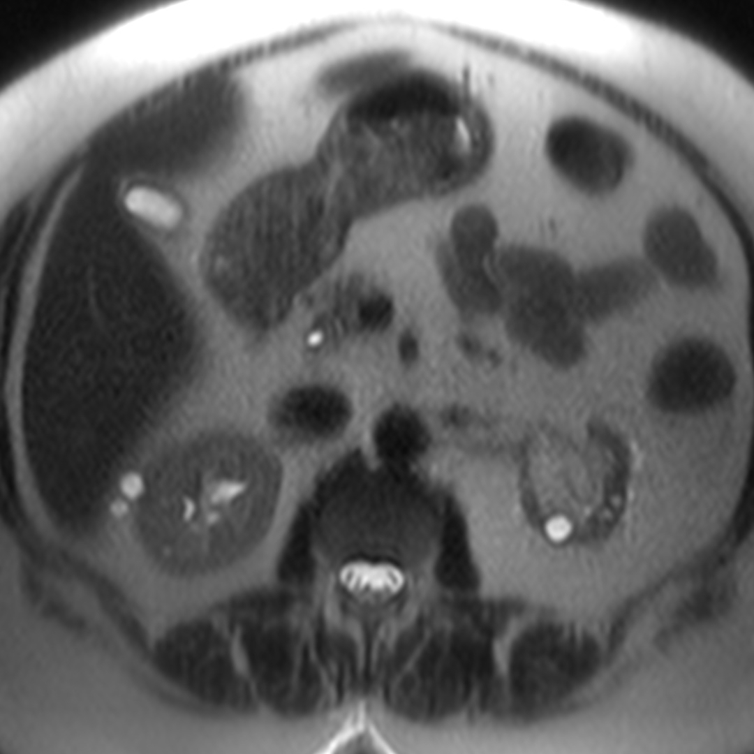 russianradiology в LOOKY — фото 4