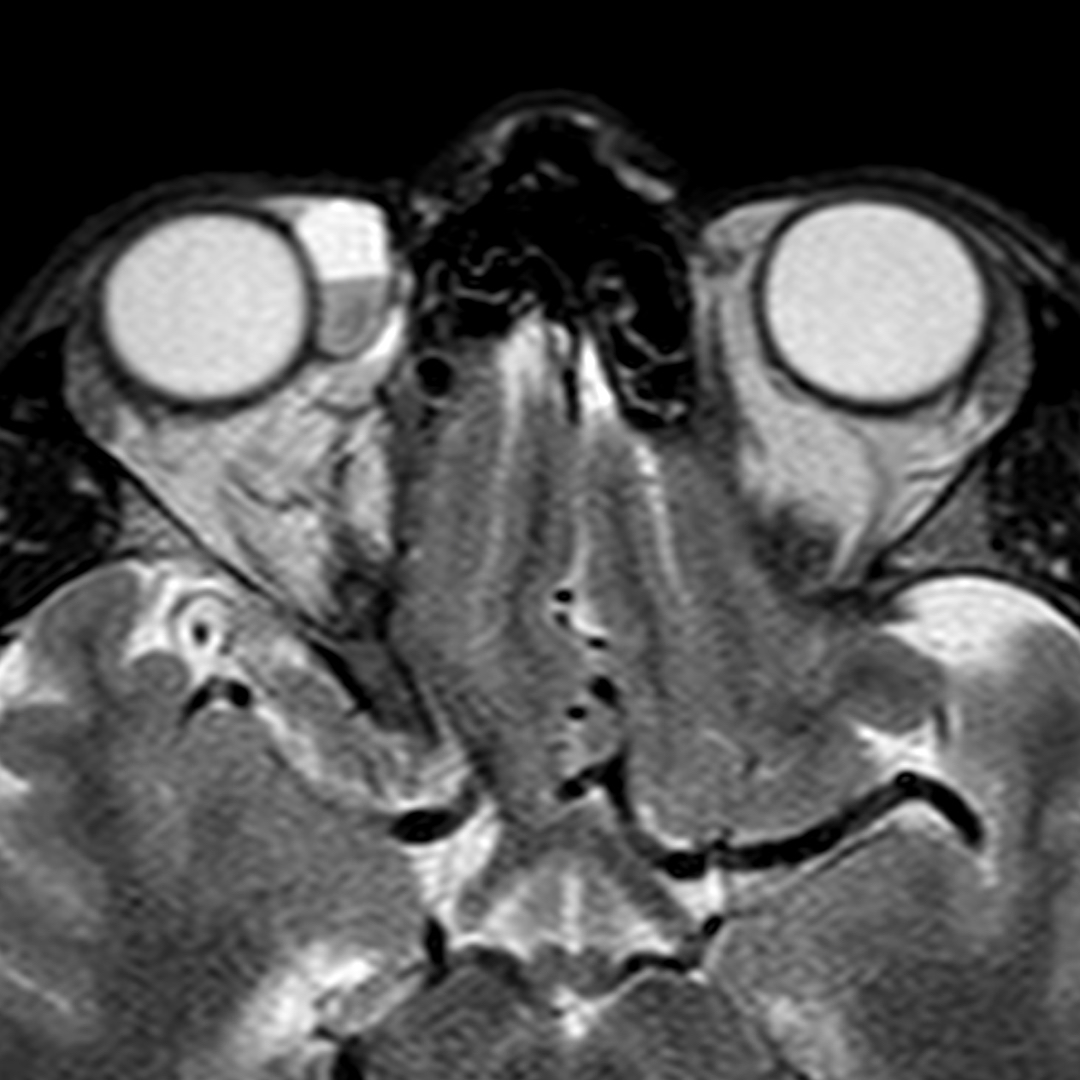 russianradiology в LOOKY — фото 3