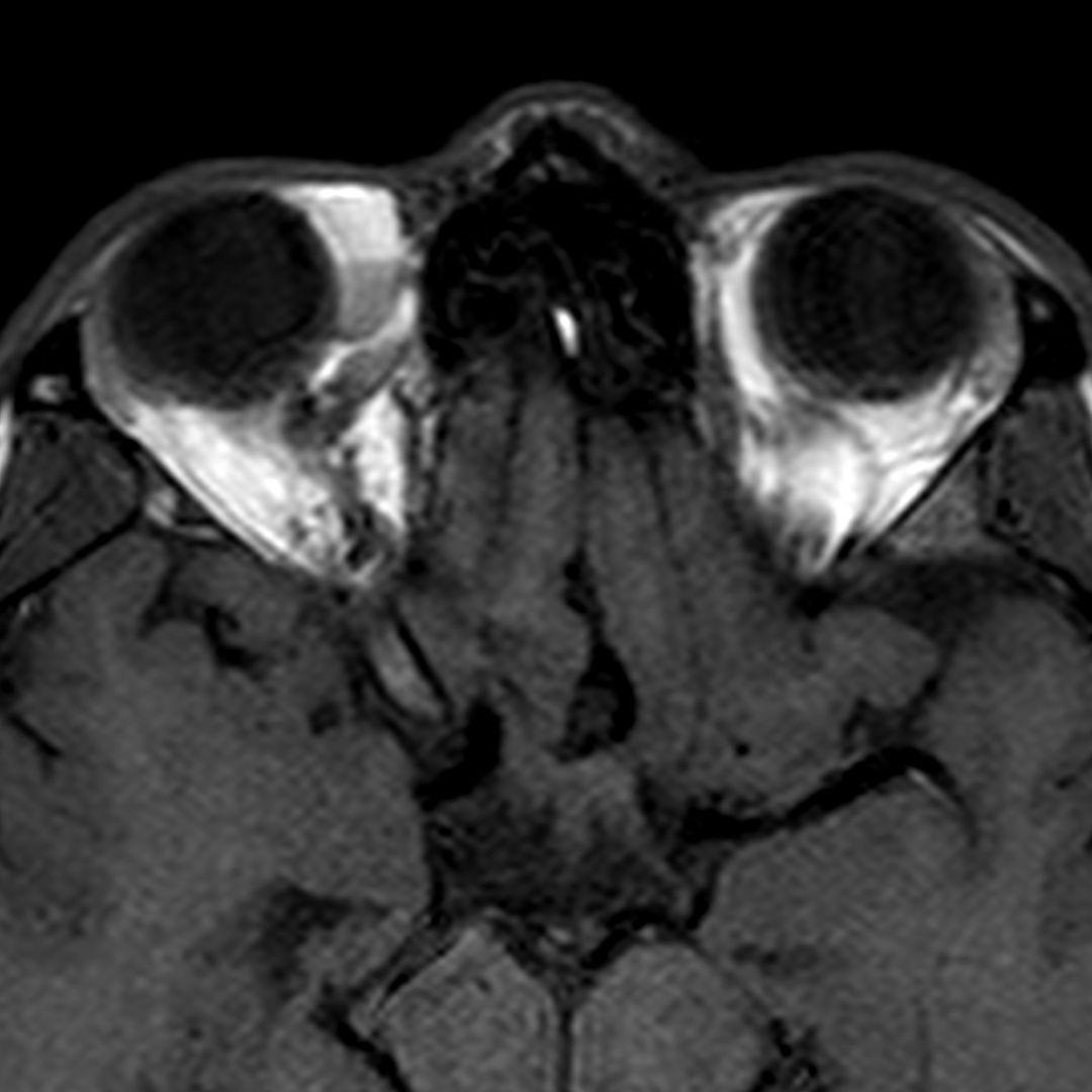 russianradiology в LOOKY — фото 2