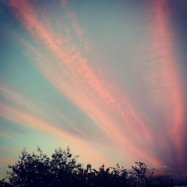 yurviko в LOOKY. #щупальца,#закат,#ннов,#зеленыйгород. #щупальца #закат #нн...