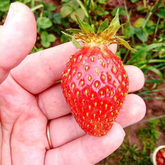 marinochka95_ в LOOKY. #9июля#холодноелето#клубникатолькопошла🍓#летохренето. Лето, ты где? #9июля...