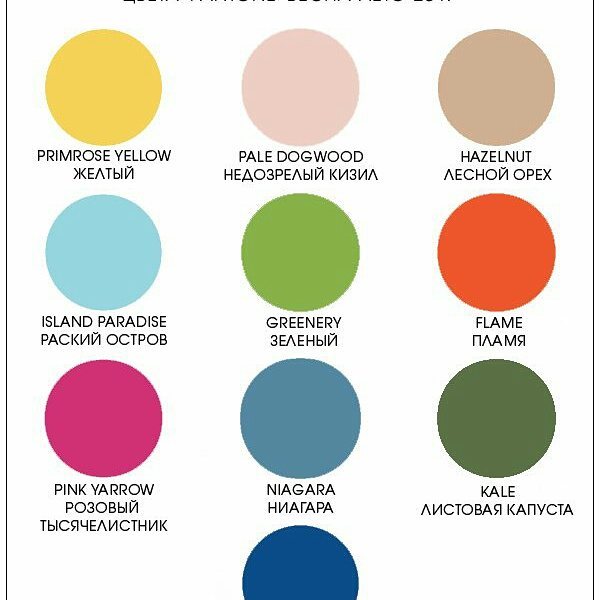 elena_litvinova2020 в LOOKY — фото 6