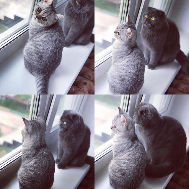 daria__basova в LOOKY. . Кажется нас так ждут...