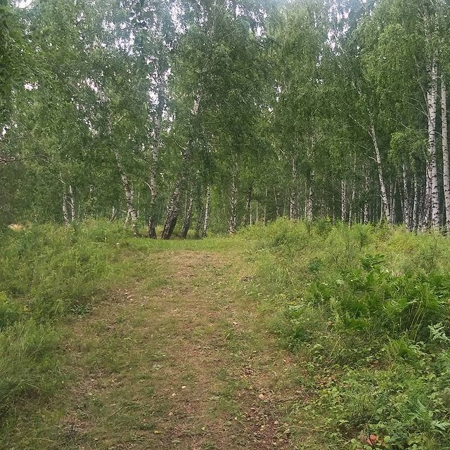 xander8chaser в LOOKY. . Тропа для пробежки