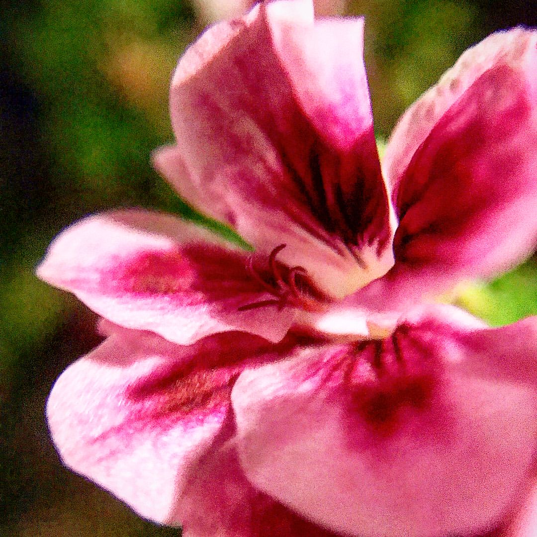 ponchik_vovchik в LOOKY — фото 3
