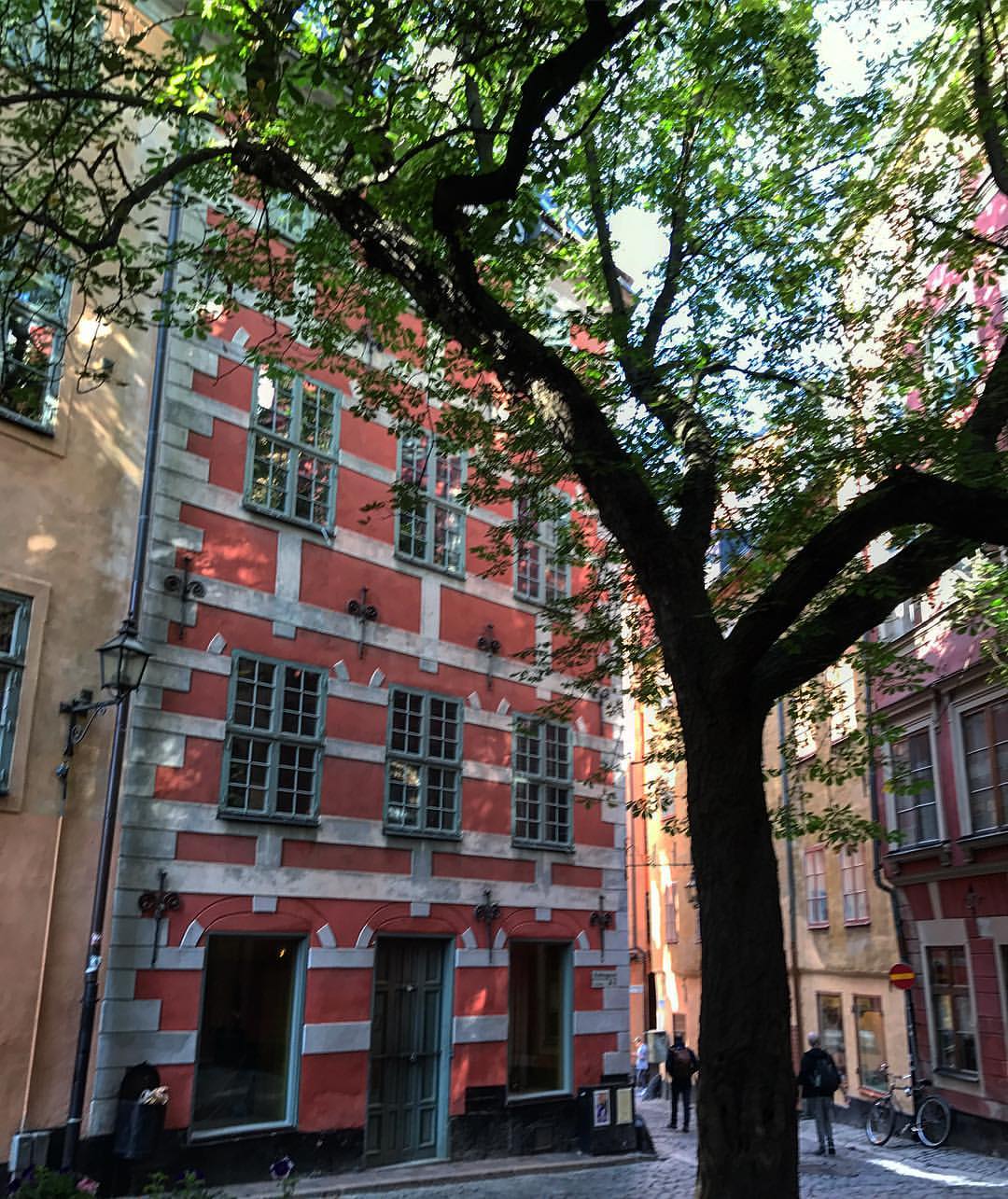 goreslavsky в LOOKY — #stockholm #sweden