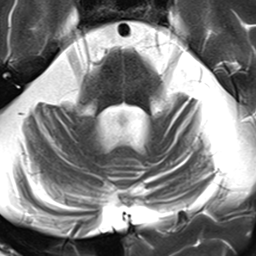russianradiology в LOOKY — фото 4