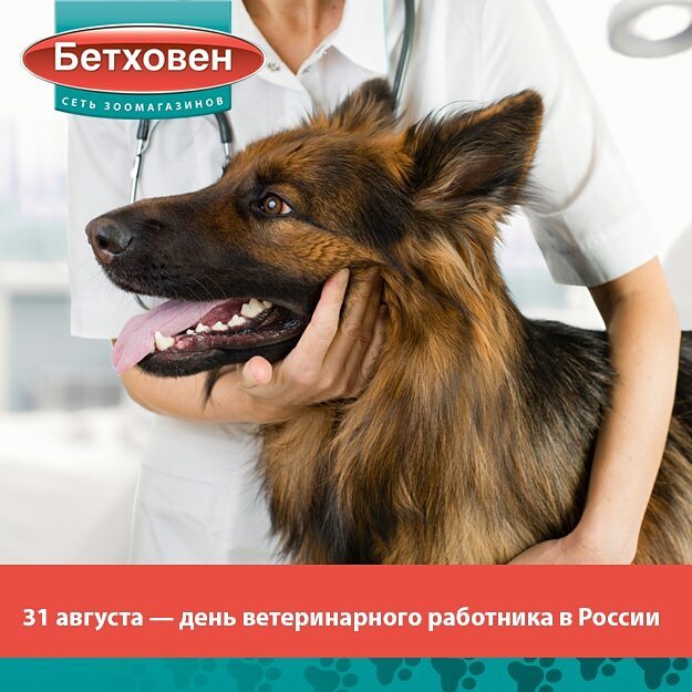 zoobethowen в LOOKY — С 2014 года в России 31 августа отмечают день ветеринарного 