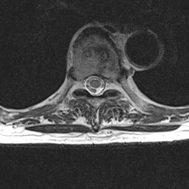 russianradiology в LOOKY — фото 4