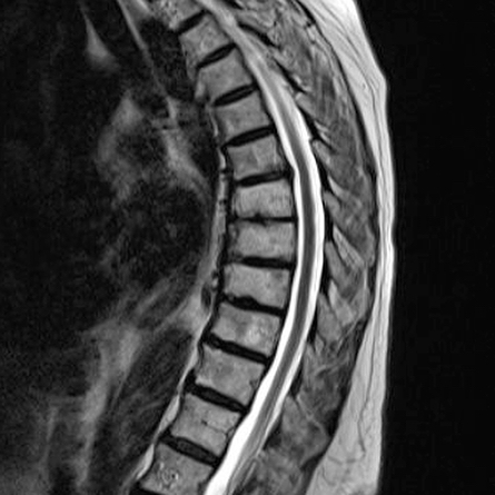russianradiology в LOOKY — фото 2