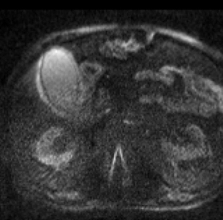 russianradiology в LOOKY — фото 4