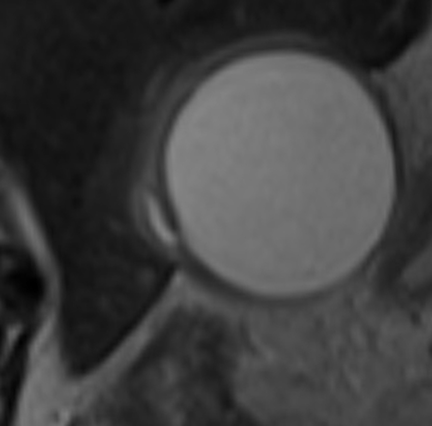 russianradiology в LOOKY — фото 5