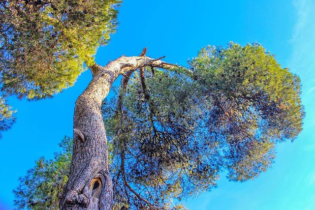 dh.aboubakr в LOOKY. #photo,#photographer,#nature,#dz,#africa. #photo #photographer...