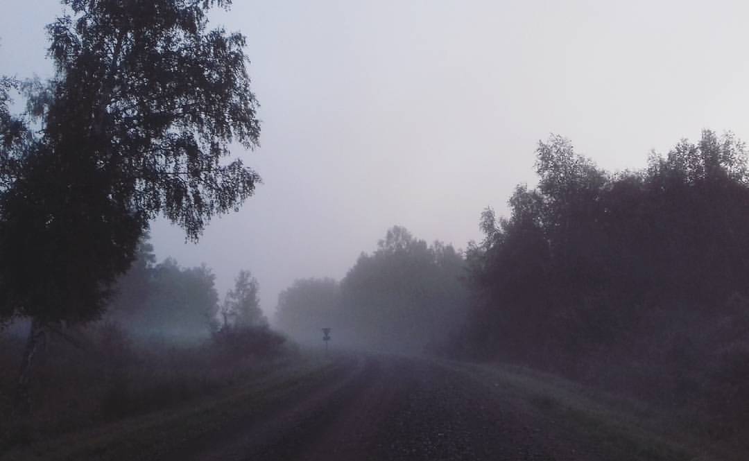 oksanaa55 в LOOKY — Доброе утро 🍁🍃🍂☔ У нас #дождь , слякоть. Осень даёт о себ