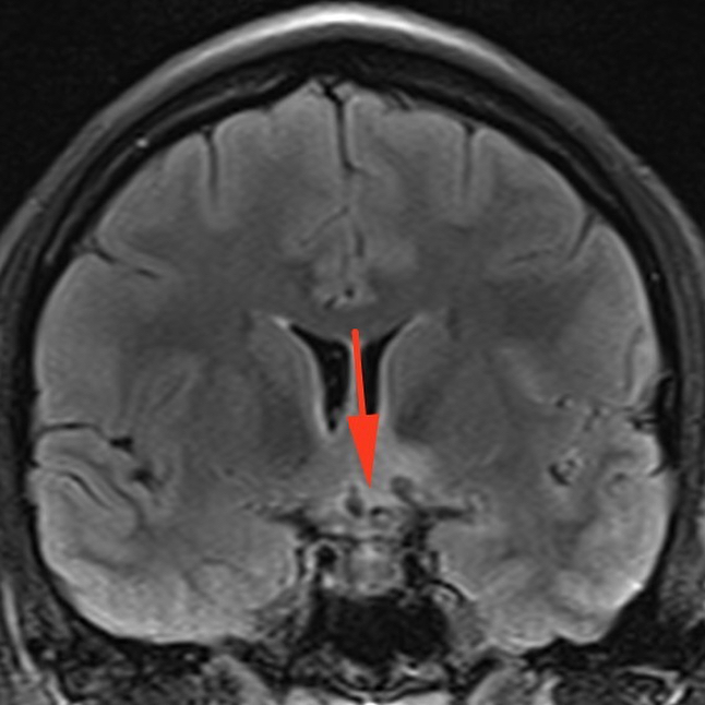 russianradiology в LOOKY — фото 6
