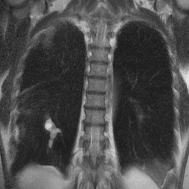 russianradiology в LOOKY — фото 3