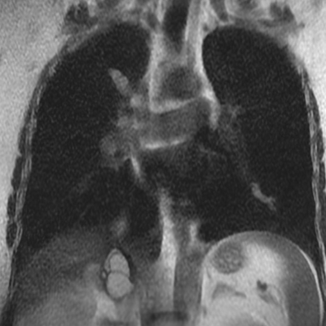 russianradiology в LOOKY — фото 2