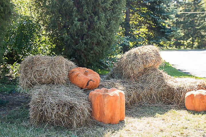 zhiltsov.sergei в LOOKY — фото 6