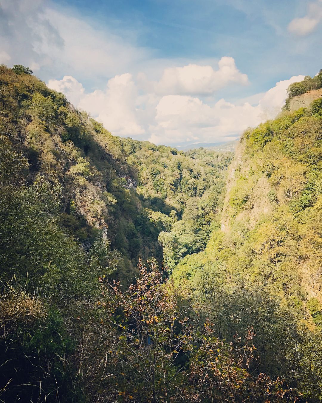 daria__basova in LOOKY. . 🍃🌿⛰
