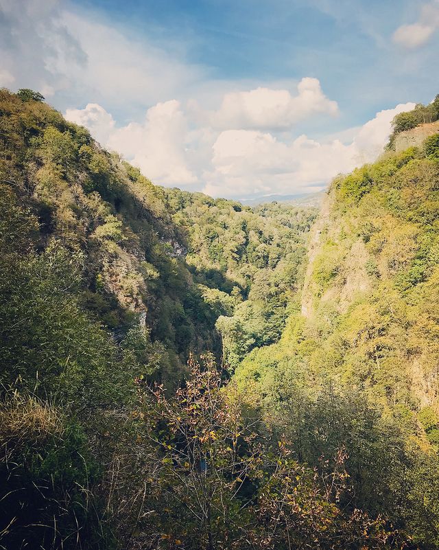 daria__basova в LOOKY. . 🍃🌿⛰