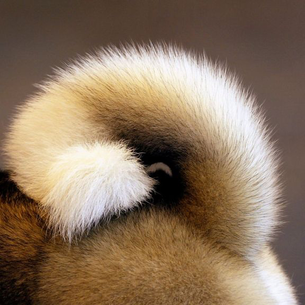 zoobethowen в LOOKY — фото 2
