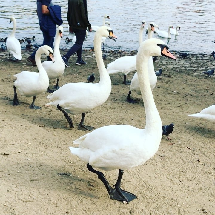 Maksim в LOOKY. #prague. #prague