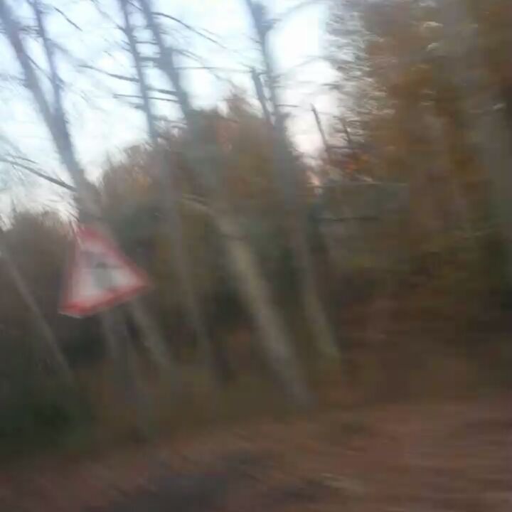 sergo_brilliant в LOOKY. #ахэтоосень🍁🍃🍂☔. #ахэтоосень🍁🍃🍂☔