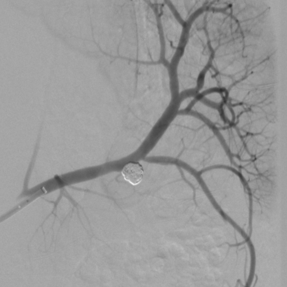 russianradiology в LOOKY — фото 9