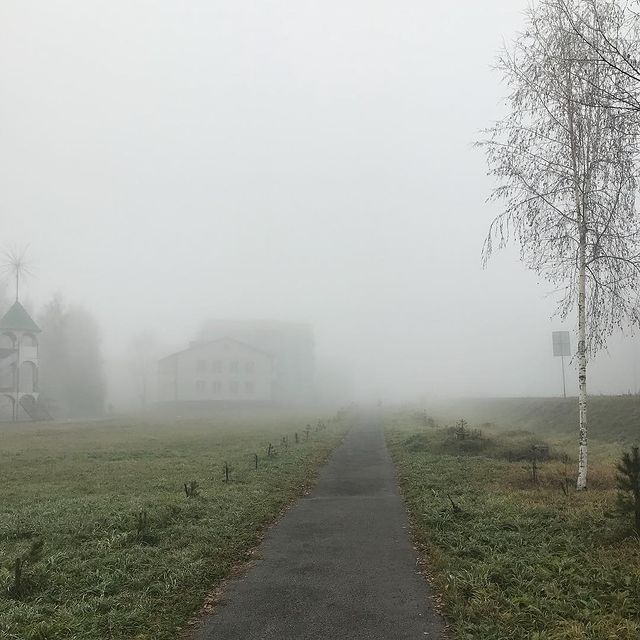 gipsophyla в LOOKY. . Утро туманное...