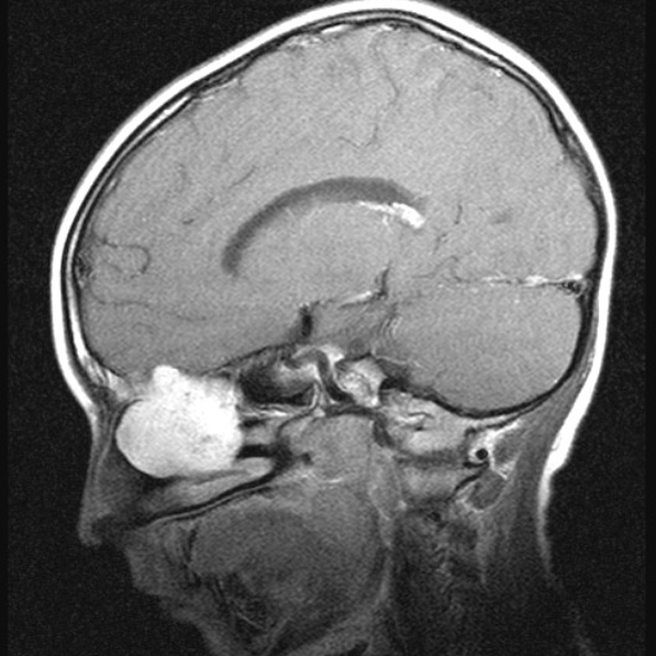 russianradiology в LOOKY — фото 5