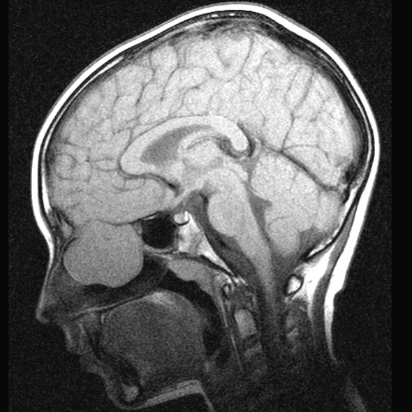 russianradiology в LOOKY — фото 3