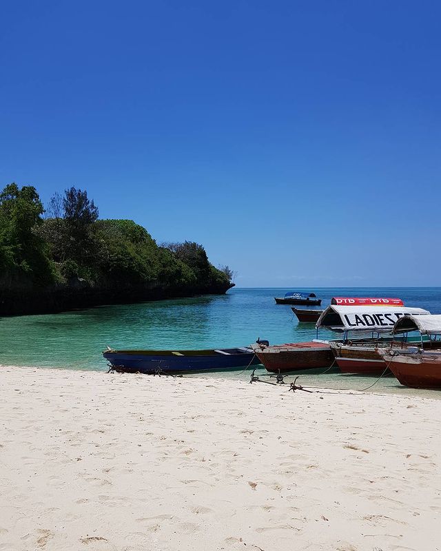 falkonataly в LOOKY. #prisonisland,#zanzibar,#indianocean,#занзибар,#танзания,#африка,#tanzania,#africa,#индийскийокеан,#travelask. #prisonisland #zanzi...