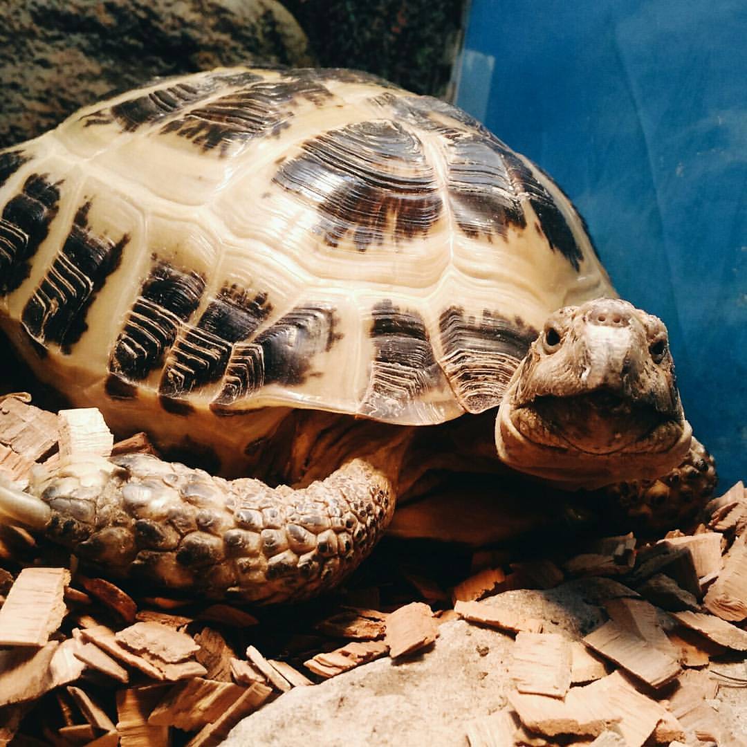vann_laff в LOOKY — фото 4
