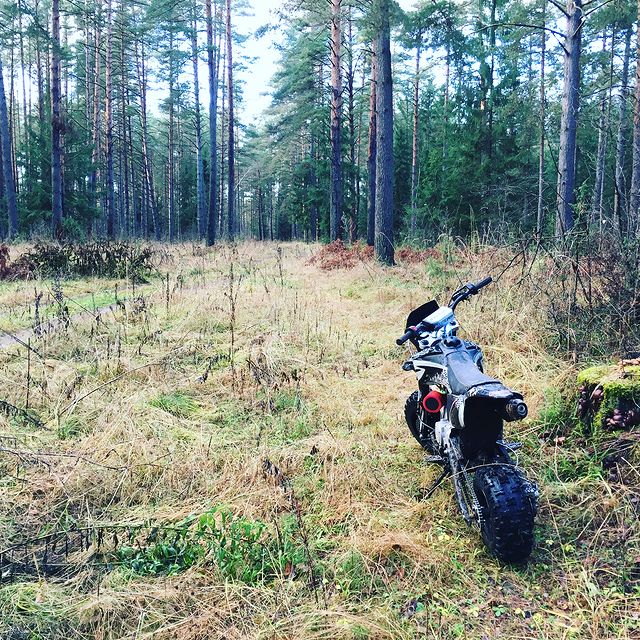 matrosk1n в LOOKY. #pitbike,#forest,#freedom. Так выглядит свобода...