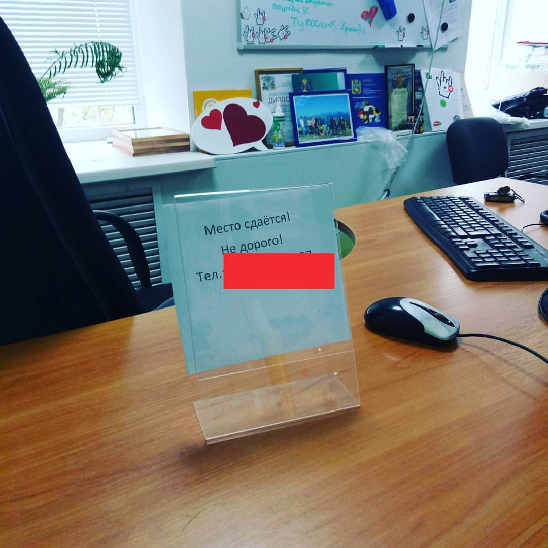 ivolga_marketing в LOOKY — Вот и подошло к концу мое время работы в компании @zelenaya_