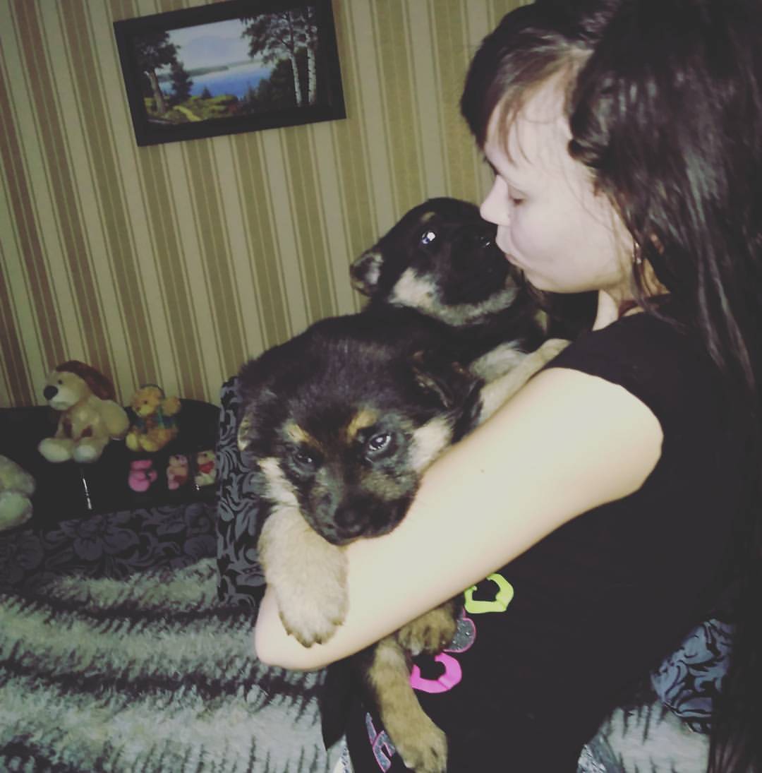 jen_myr2759 в LOOKY — Скоро придет время прощаться ,маленькие комочки 🐕 будут в н