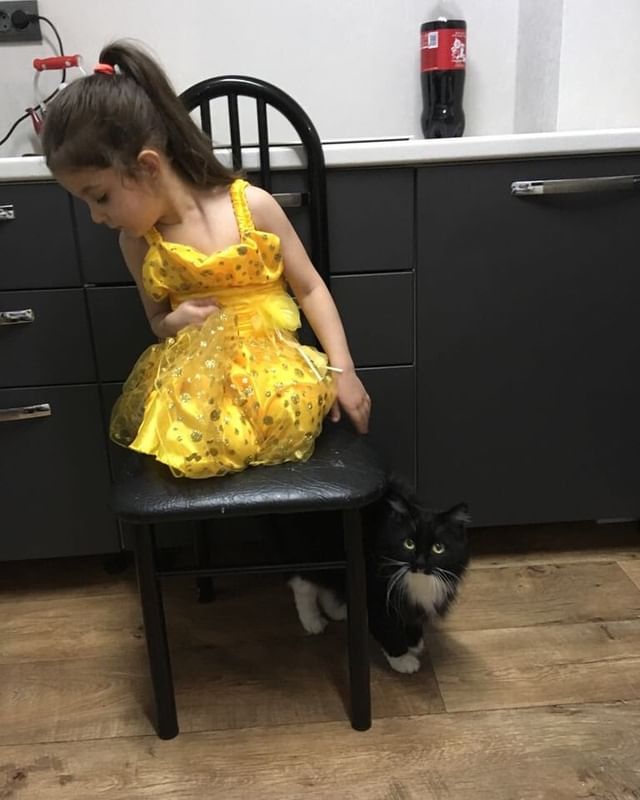 Марта в LOOKY. . Где ты, Mr.Муркин? Г...