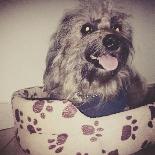marouane_benalla в LOOKY. . Andy