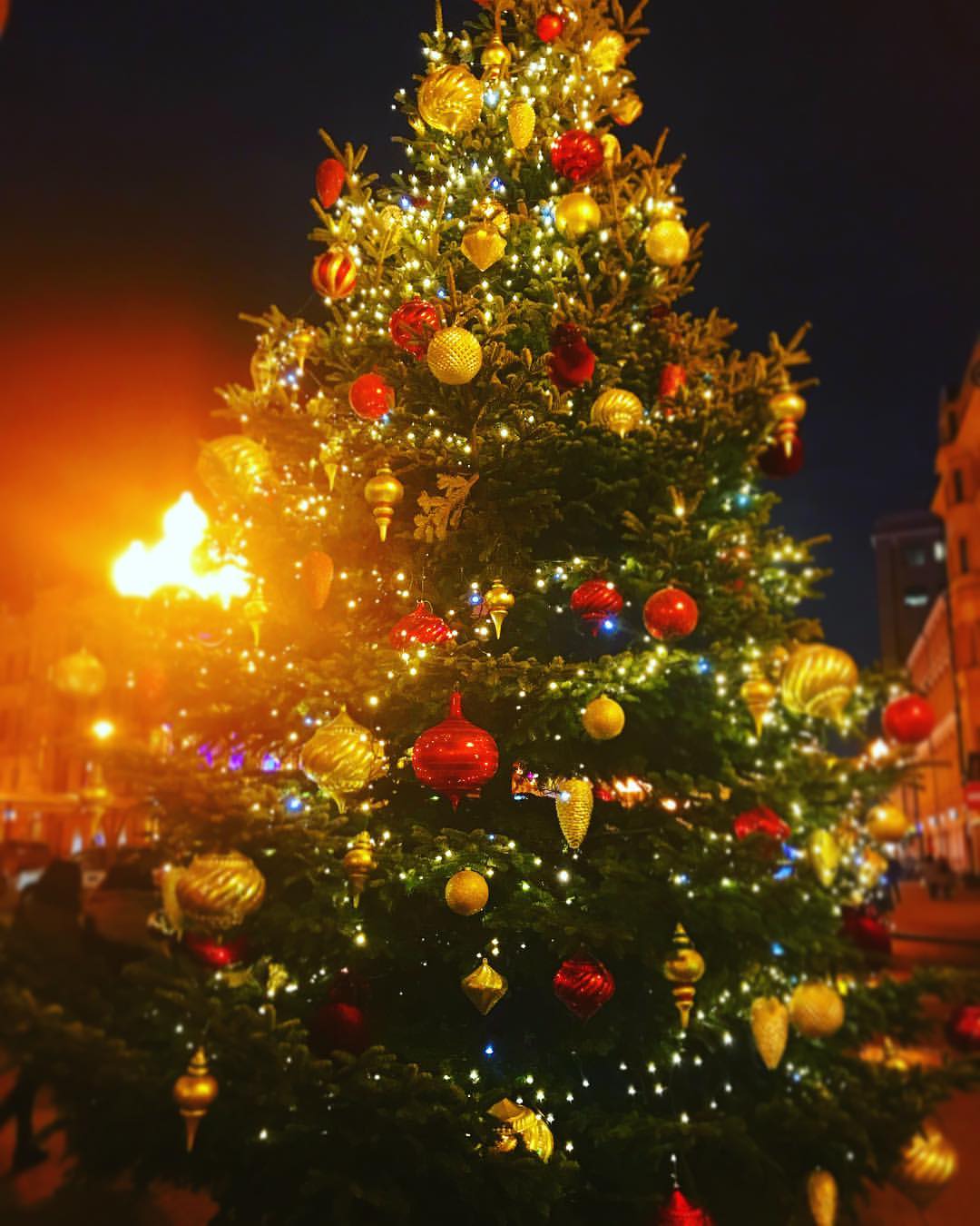 _123_anastasiya_123_ в LOOKY — Скоро Новый Год🎄🎄🎄#новыйгод2018 #happynewyear